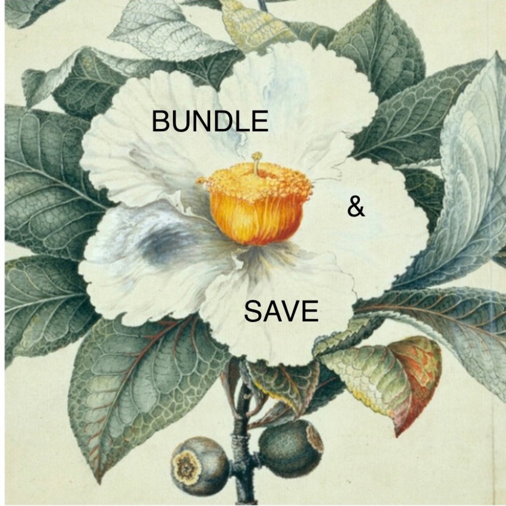 🌿🌞🌿BUNDLE 🌿🌞🌿 to Save $$ on price & Shipping - Picture 4 of 9